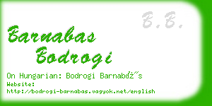 barnabas bodrogi business card